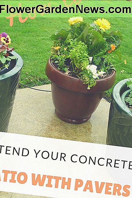 Cómo extender tu patio de concreto con adoquines