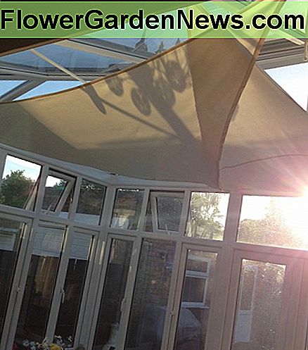 Sails make great shading inside a conservatory room