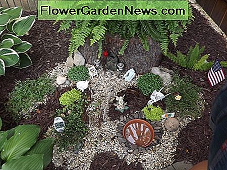 This is a fairy garden that I saw at a garden show. Children love these.