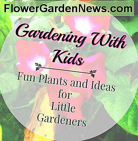 Sodininkystė su vaikais - įdomūs augalai ir idėjos vaikams