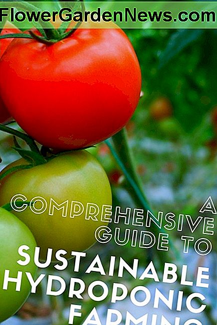 En omfattande guide till hållbar hydroponic Farming