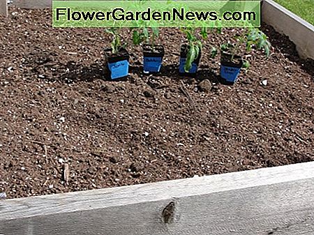 Cum de a modifica solul grădină cu grădini