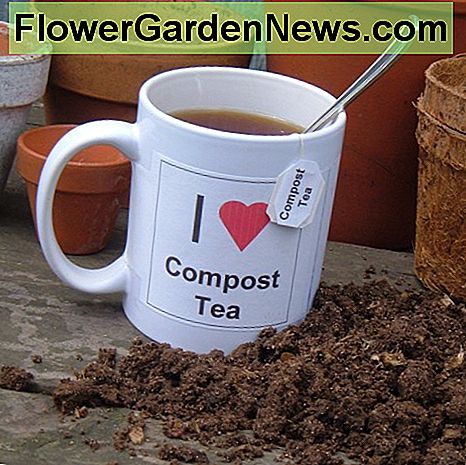 Hoe compost thee te maken: de organische energiedrank voor planten