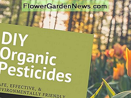 DIY organiska bekämpningsmedel för naturligt trädgårdsarbete