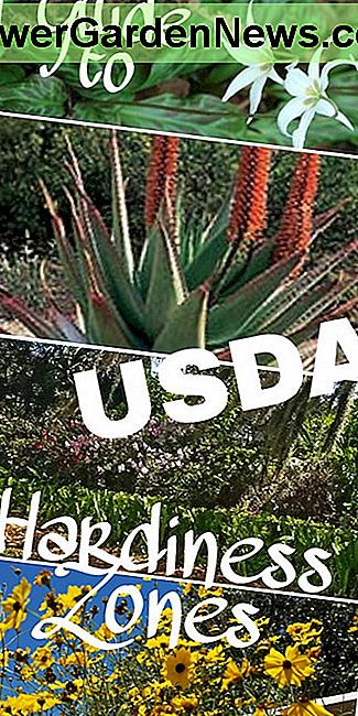 En guide till USDA Hardiness Zones