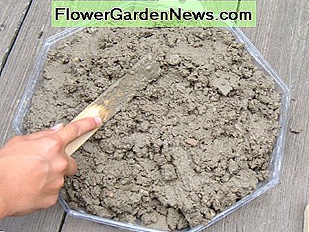 Fill the stepping stone mold with concrete