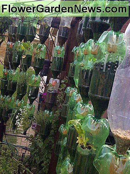 Baue deinen eigenen hängenden Garten aus recycelten Plastikflaschen