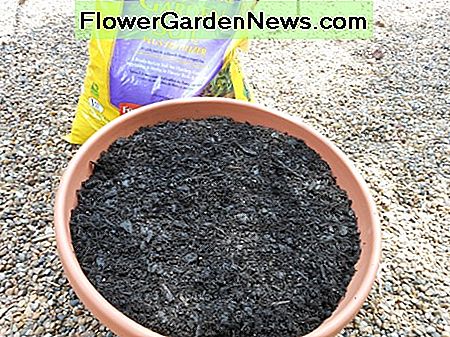Cover the gravel with good quality potting soil. Leave about one inch between the edge of the container and the top layer of soil.