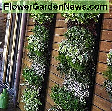 Vertical Herb Garden Design (photos from Design Squish Blog)