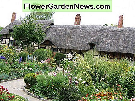 Planten voor een Engelse Cottage Style Garden