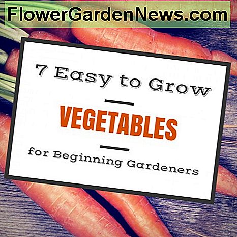 7 Lätt att växa grönsaker för trädgårdsskötare