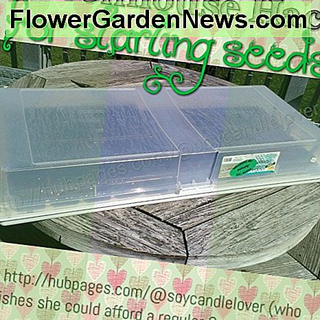 Greenhouse Hack pour les graines de départ pour votre jardin