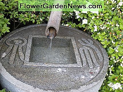Fontener i japanske hager - Betydning og symbolikk av vann