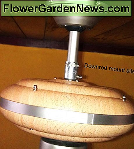 Ceiling-mounted fan motor, showing the downrod mounting site, where there is a pin and two set screws.