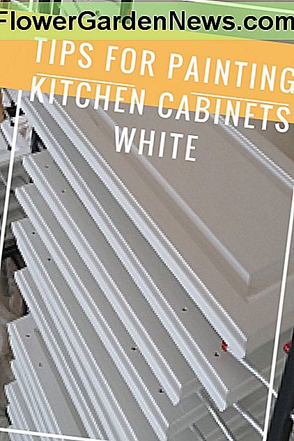 Tips voor het schilderen van keukenkastjes Wit