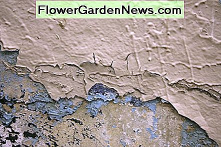 Sådan Fix Peeling Paint på dine vægge eller loft