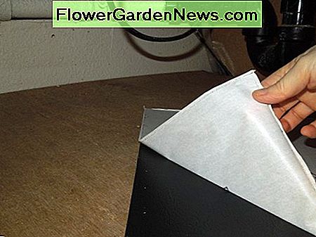 Peeling Off the Backing Paper of Self Adhesive Vinyl Tile