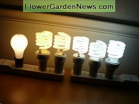 LED-verlichting: kiezen van de juiste kleurtemperatuur