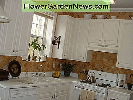 Example of center set faucet in kitchen