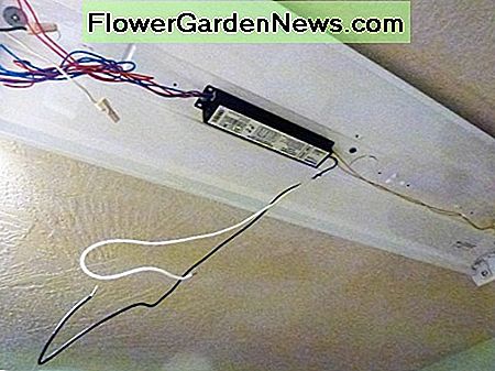 The black and white wires have been removed from the incoming power wires. Do it before cutting, as just one more good electrical safety practice.