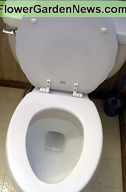 Hur man förhindrar toaletten