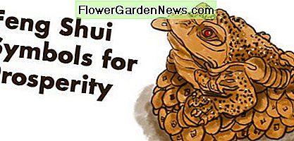 Sju Feng Shui symboler för att få gott förmögenhet
