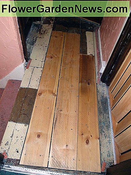 The Original pine flooring on the upstairs landing