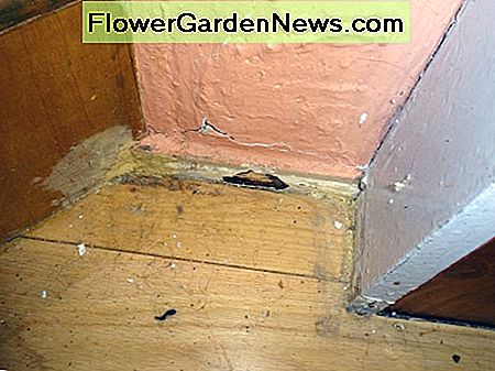 Close up view of the old skirting board by the stairs