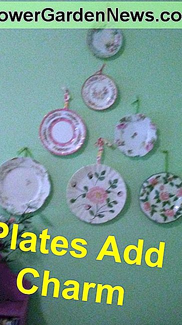 Hanging plates Is an easy and inexpensive way to personalize your home in Cottage Style. Group plates according to color to create a peaceful, cohesive vibe.