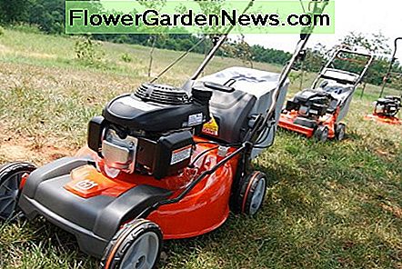 Typical rotary lawn mower