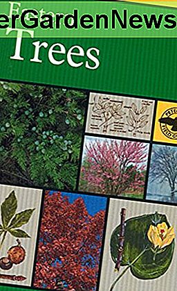 En feltguide til østlige trær: Øst-USA og Canada, inkludert Midtvesten (Peterson Field Guides)