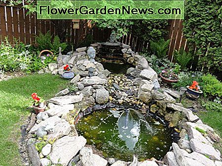 Cómo construir un estanque de meditación en cascada para su paraíso en el patio trasero