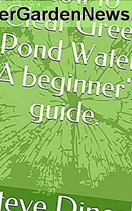 Comment nettoyer l'eau de l'étang vert: Guide du débutant.