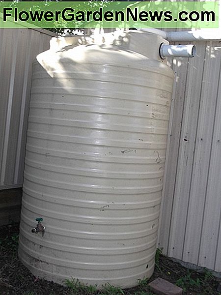 It is easy to harvest water from the roof of a garden shed. If your water tank is not on a stand or platform, remember to place your tap high enough to fit a bucket or watering can beneath it. Some water remains inaccessible - so raise your tank. :)