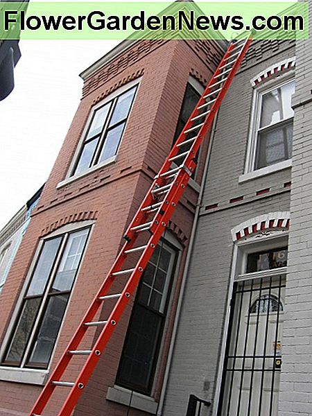 Hur man använder en stege säkert och går på tak