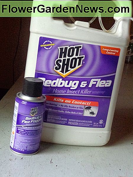 Hot Shot Bed Bug Y Flea Fogger Review Consejos Tiles Jardineros Y   Hot Shot Bed Bug Flea Fogger Review 3 