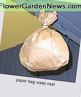 A friend shared with me this tip: Fill a paper bag with newspaper and shape it like a wasp's nest. Hang it to deter them from returning to the spot. 