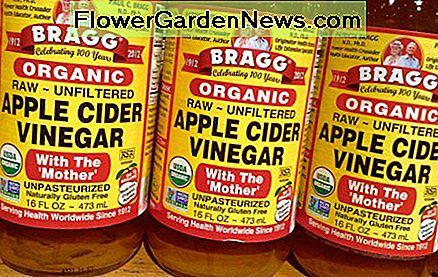 White vinegar is better for homemade bed bug spray, but apple cider vinegar is better to treat bites. 