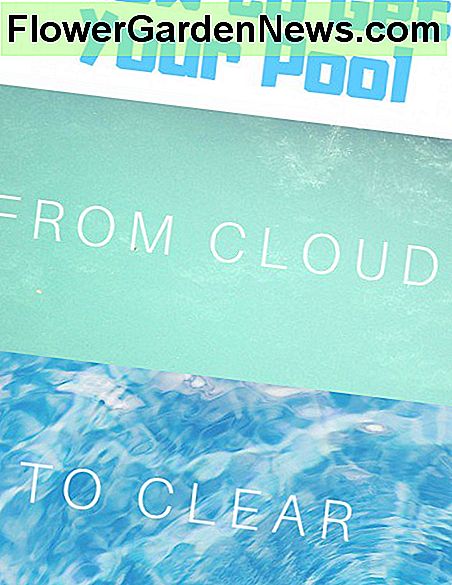 4 būdai, kaip išvalyti debesuotą baseino vandenį